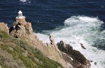 Cape of Good Hope Full Day Tour with Boulders Beach Penguins