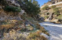 Imbros Gorge Private Hiking Experience in the heart of Crete