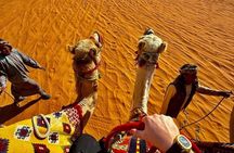 Riyadh Camel Ride and Quad Bike Experience