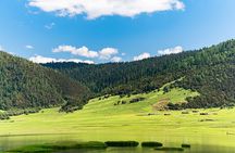 Pudacuo White Water Terrace and Tiger Leaping Gorge Private Tour