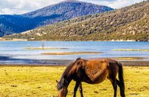 Pudacuo White Water Terrace and Tiger Leaping Gorge Private Tour