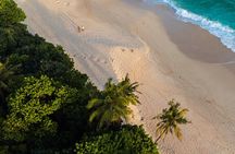 Customized Down South Tours