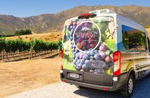 Premium Small-Group Wine Tour, 4 Wineries, Lunch from Queenstown