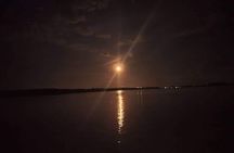 Puerto Princesa Firefly Watching Bay Cruise with Dinner