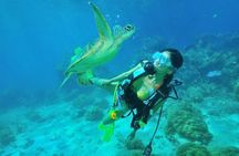 Ishigaki Island / Experience diving for 2 people ~ License not required / Novice welcome ~