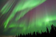 Rovaniemi: Multiple Nights Northern Lights Adventure