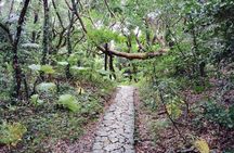 Okinawa: Sacred Sefa Utaki Walk into Ryukyu’s Spiritual
