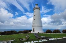 All-Inclusive Boutique 2 Day Kangaroo Island Tour