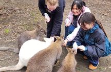 All-Inclusive Kangaroo Island 2 Day Small Group Tour