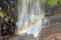 Super 7 Waterfalls and Natural Bridge Day Tour at Springbrook