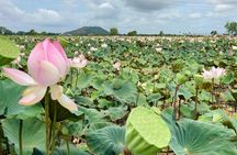 Rural Countryside Experience Tour in Siem Reap