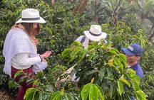Cocora Valley Tour - Coffee Estate Tour - Salento Tour