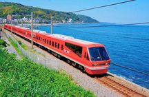 FromTokyo: Izu Scenic Oceanview Train, Volcano, Coast Day Trip
