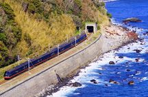 FromTokyo: Izu Scenic Oceanview Train, Volcano, Coast Day Trip