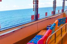 FromTokyo: Izu Scenic Oceanview Train, Volcano, Coast Day Trip