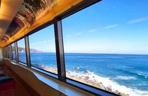 FromTokyo: Izu Scenic Oceanview Train, Volcano, Coast Day Trip