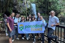 Lamington & Tamborine Day Tour: O’Reilly’s, Curtis Falls & Sunset