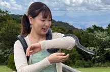Lamington Day Tour O’Reilly’s Treetop, Wildlife and Wine Tasting