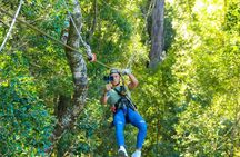 Tsitsikamma Canopy Tour
