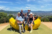 8 hours Arashiyama Monkey Park Ryoanji and Kinkaku ji Tour 