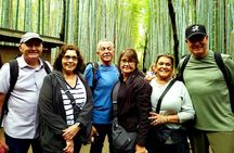 8 hours Arashiyama Monkey Park Ryoanji and Kinkaku ji Tour 