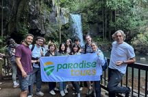 Lamington and Tamborine Day Tour OReillys Curtis Falls Sunset