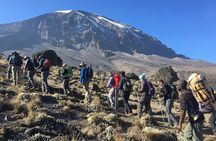 6 Days Kilimanjaro Climb via Machame Route Whisky Route