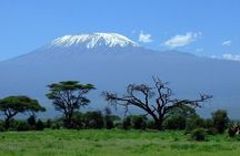 6 Days Kilimanjaro Climb via Machame Route Whisky Route