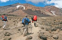 6 Days Kilimanjaro Climb via Machame Route Whisky Route