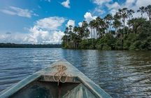 Tambopata Jungle Adventure 4 Days 3 Night