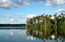 Tambopata Jungle Adventure 4 Days 3 Night