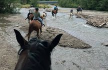 Zakopane Horse Riding and Thermal Baths full day from Krakow