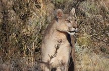 Full Day Torres del Paine