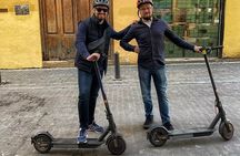 Private E-Scooter Tour Old Town Gardens and City of Arts