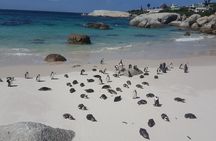 Cape of Good Hope& Penguins at Boulders Beach full day tour