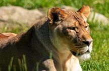 Wilder Institute/Calgary Zoo: Entry Ticket