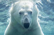 Wilder Institute/Calgary Zoo: Entry Ticket