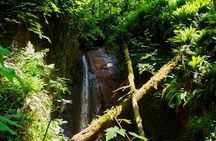 Trails Through Time Bellevue Coal Creek History Hike