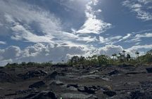 Fissure 8 Tour - Volcanoes National Park and Hilo Discovery