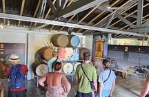 Curaçao City and Beach Tour