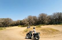 Hammamet Quad Tour 90 minutes with hotel pickup