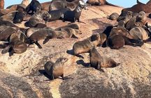 Cape of Good Hope& Penguins at Boulders Beach full day tour
