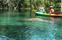 Manatee Springs Adventure Tour