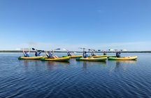 Manatee Springs Adventure Tour