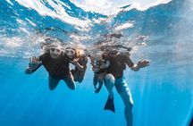 3 Hour Express Snorkel to Molokini