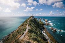 Invercargill to Dunedin via the Catlins Small Group 1 Way Tour