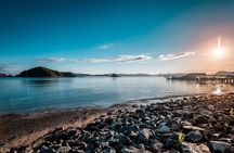 1 Hour Scenic Bay of Islands Tour