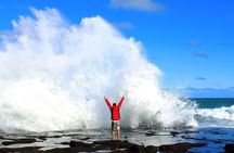 Dunedin to Te Anau via Catlins & Invercargill Small Group Tour 