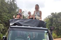 Minneriya National Park Half Day Private Jeep Safari
