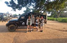 Minneriya National Park Half Day Private Jeep Safari